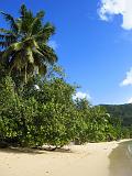 SEYCHELLES - 661 - Mahe, Anse La Mouche